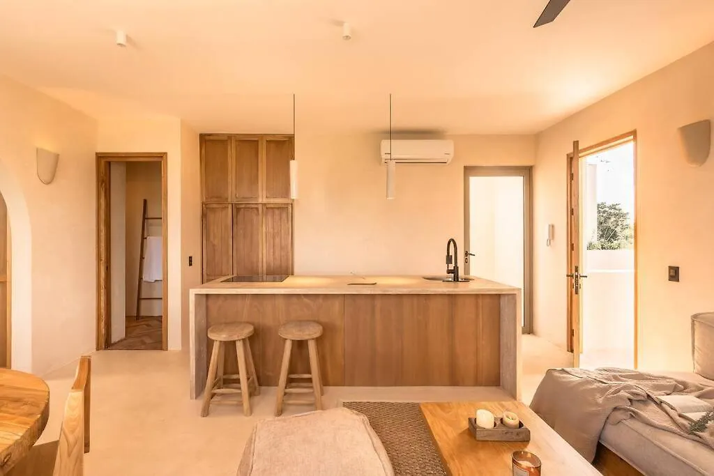 Paradisiac Rooftop With Private Pool Tulum Apartment