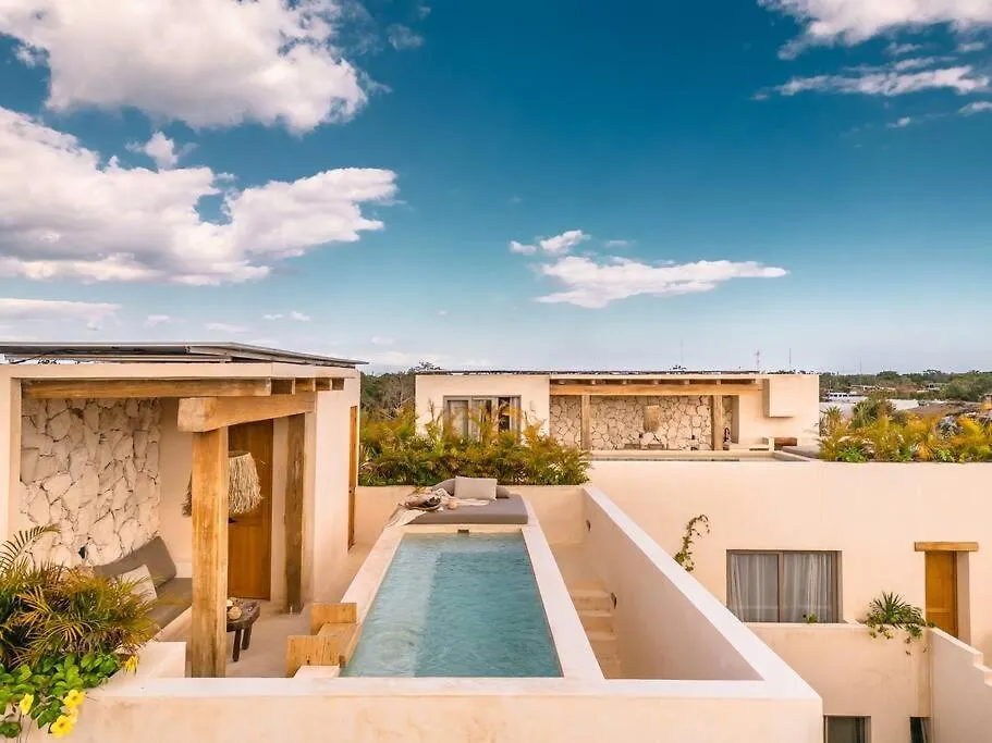 Apartment Paradisiac Rooftop With Private Pool Tulum Mexico