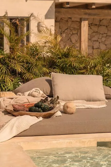 Paradisiac Rooftop With Private Pool Tulum Mexico