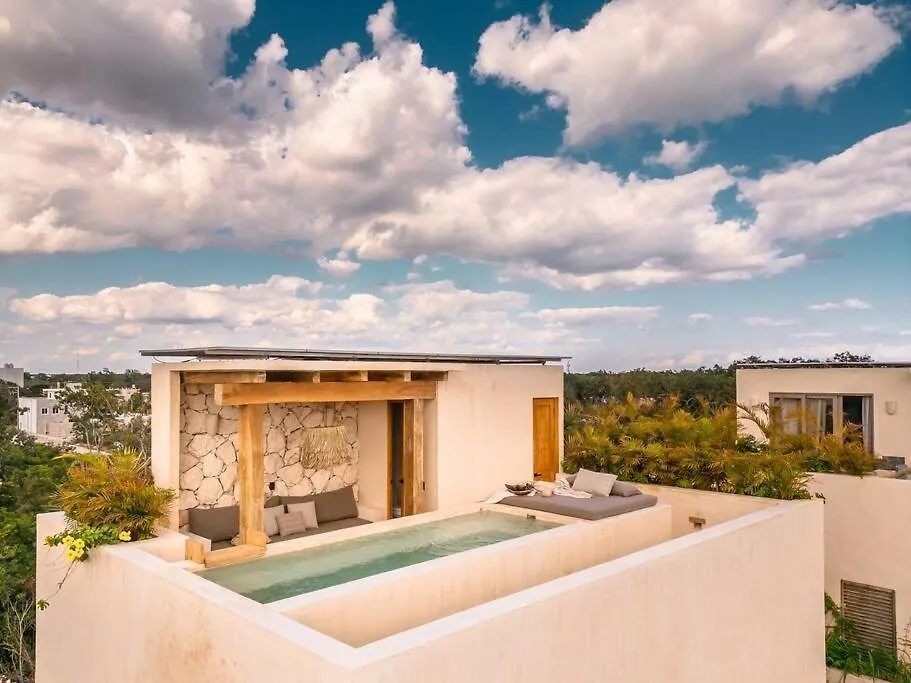 Paradisiac Rooftop With Private Pool Tulum Mexico
