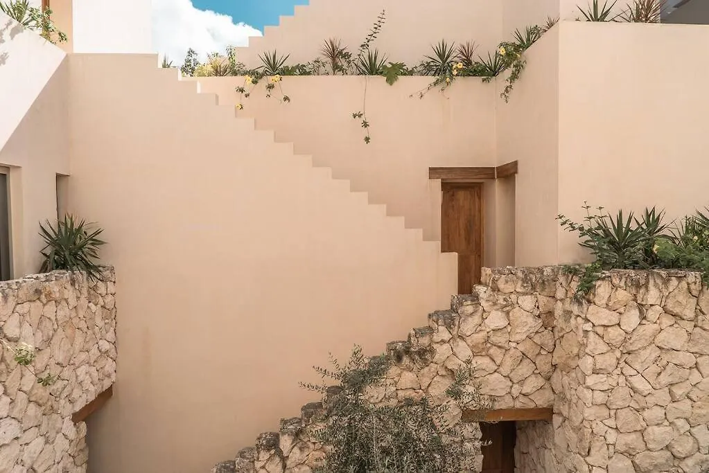 Paradisiac Rooftop With Private Pool Tulum Mexico