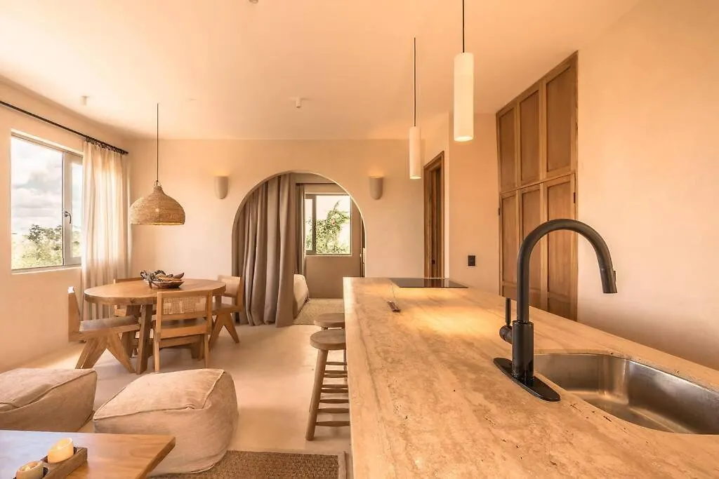 Paradisiac Rooftop With Private Pool Tulum Apartment