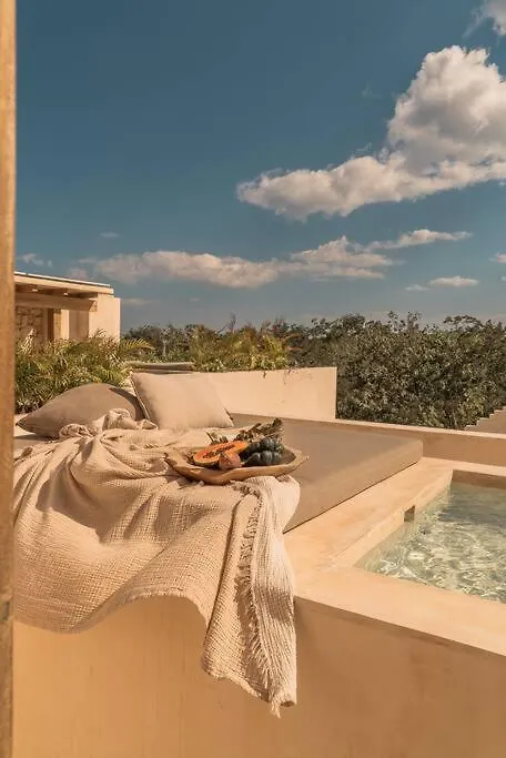 Paradisiac Rooftop With Private Pool Tulum Apartment