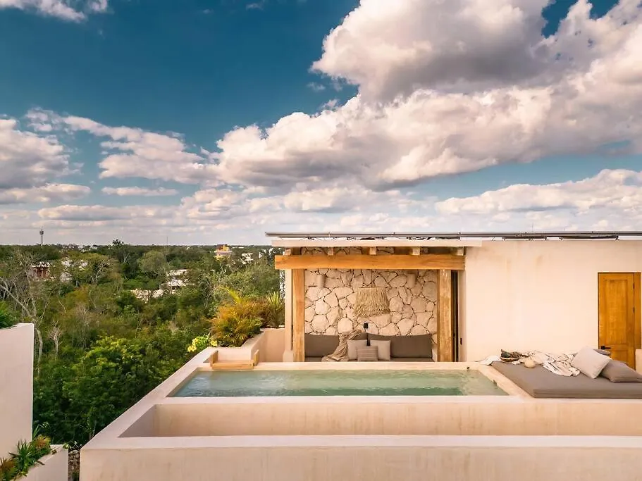 Apartment Paradisiac Rooftop With Private Pool Tulum